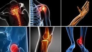 Best Ortho Doctor In Pune