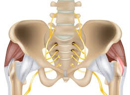 Hip Joint In Pune
